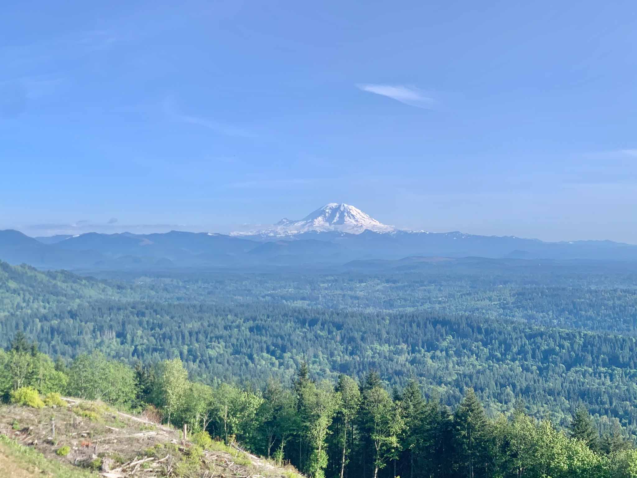 Rainier from PPT